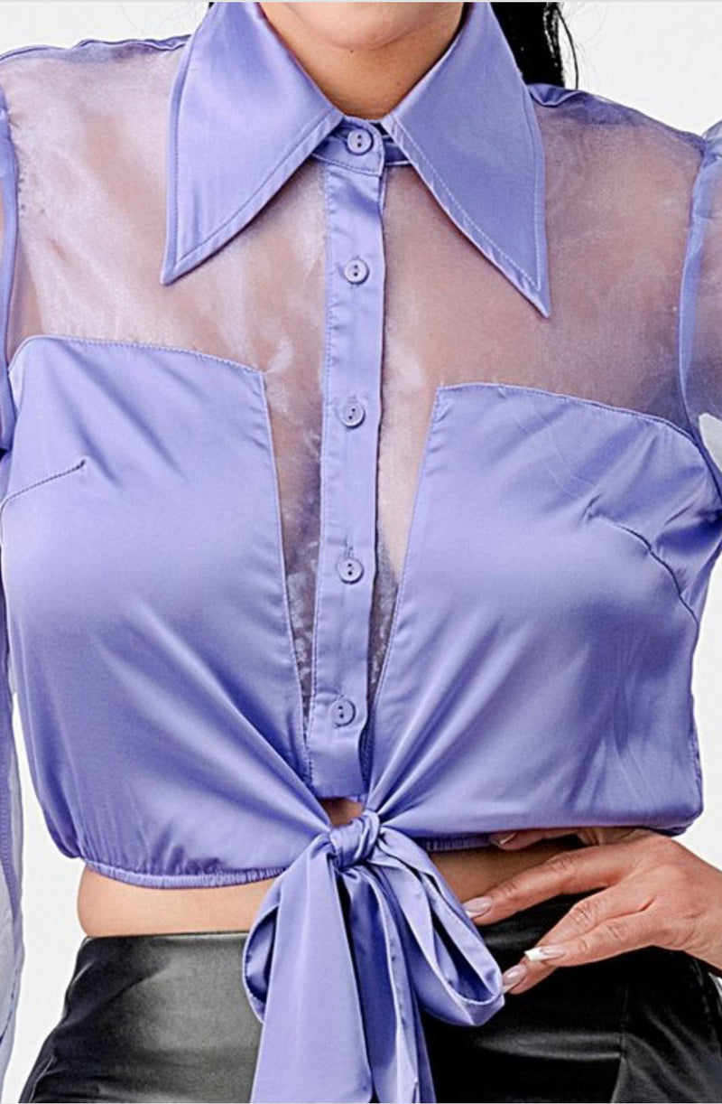 Lux Organza Satin Collared Cropped Shirt – Sheer Button-Down