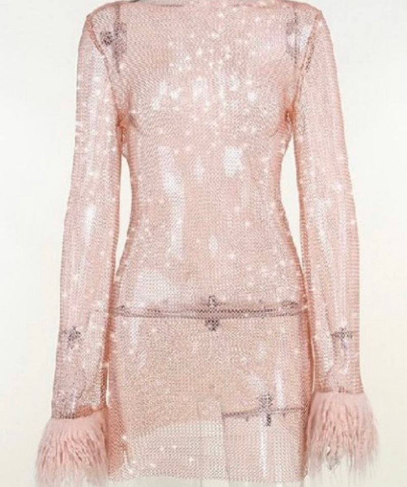 Glitter Mesh Dress with Feather Cuffs and Long Sleeves